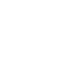 Fibre Icon
